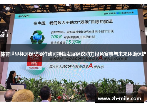 体育世界杯环保奖项推动可持续发展倡议助力绿色赛事与未来环境保护