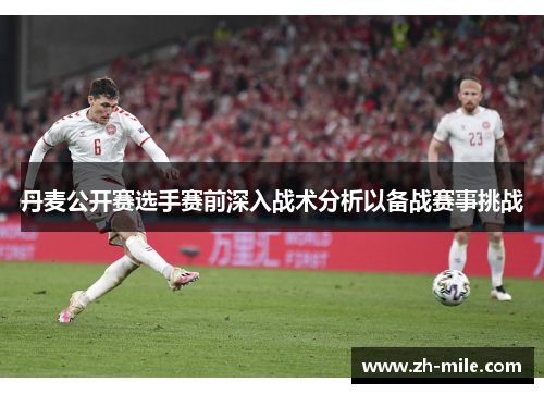 丹麦公开赛选手赛前深入战术分析以备战赛事挑战
