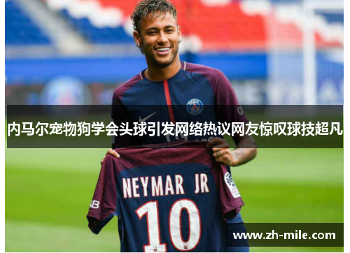 内马尔宠物狗学会头球引发网络热议网友惊叹球技超凡 内马尔宠物狗学会头球引发网络热议网友惊叹球技超凡