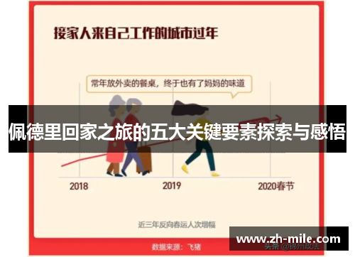 佩德里回家之旅的五大关键要素探索与感悟 佩德里回家之旅的五大关键要素探索与感悟