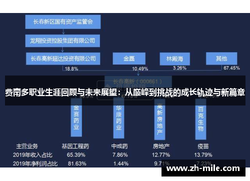 费南多职业生涯回顾与未来展望:从巅峰到挑战的成长轨迹与新篇章 费南多职业生涯回顾与未来展望:从巅峰到挑战的成长轨迹与新篇章