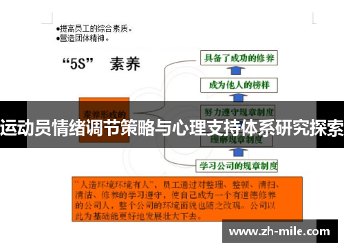 运动员情绪调节策略与心理支持体系研究探索 运动员情绪调节策略与心理支持体系研究探索