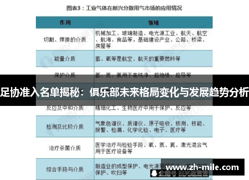足协准入名单揭秘:俱乐部未来格局变化与发展趋势分析 足协准入名单揭秘:俱乐部未来格局变化与发展趋势分析
