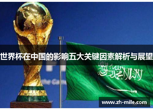 世界杯在中国的影响五大关键因素解析与展望 世界杯在中国的影响五大关键因素解析与展望