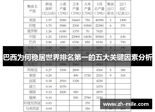 巴西为何稳居世界排名第一的五大关键因素分析 巴西为何稳居世界排名第一的五大关键因素分析