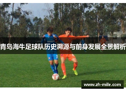 青岛海牛足球队历史溯源与前身发展全景解析 青岛海牛足球队历史溯源与前身发展全景解析