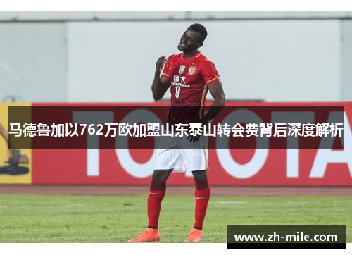 马德鲁加以762万欧加盟山东泰山转会费背后深度解析 马德鲁加以762万欧加盟山东泰山转会费背后深度解析