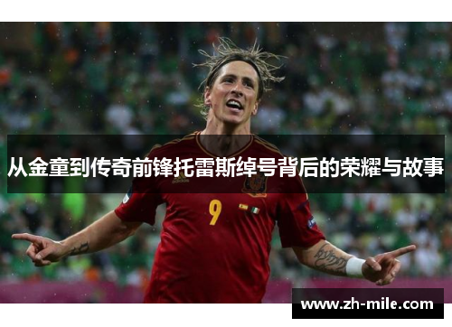 从金童到传奇前锋托雷斯绰号背后的荣耀与故事 从金童到传奇前锋托雷斯绰号背后的荣耀与故事