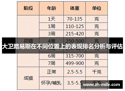 大卫路易斯在不同位置上的表现排名分析与评估 大卫路易斯在不同位置上的表现排名分析与评估